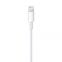 Apple Lightning to USB Cable(2m) - 1