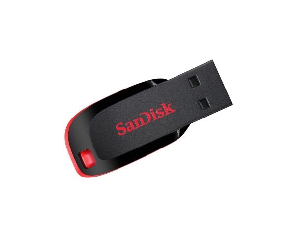 SanDisk Flash Blade(128GB)