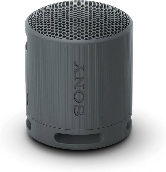 Sony SRS-XB100 (Black) - 28259