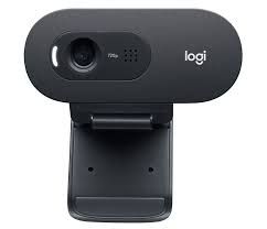 Webcam Logitech C505 - 27500