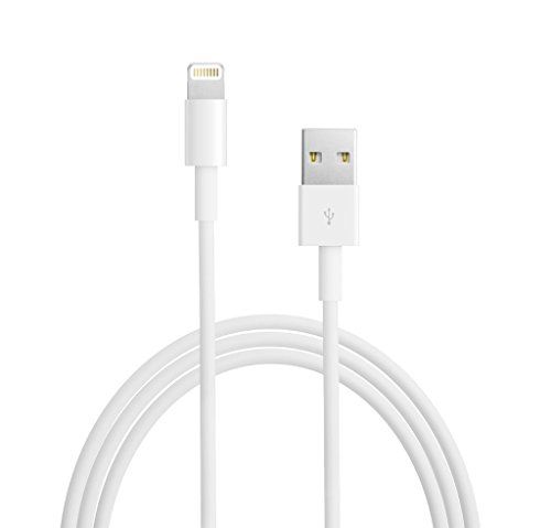 Apple Lightning to USB Cable(2m) - 19393