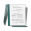 Amazone Kindle Scribe 10.2" Premium Pen (64GB)(Metallic Jade)