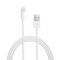 Apple Lightning to USB Cable(2m)